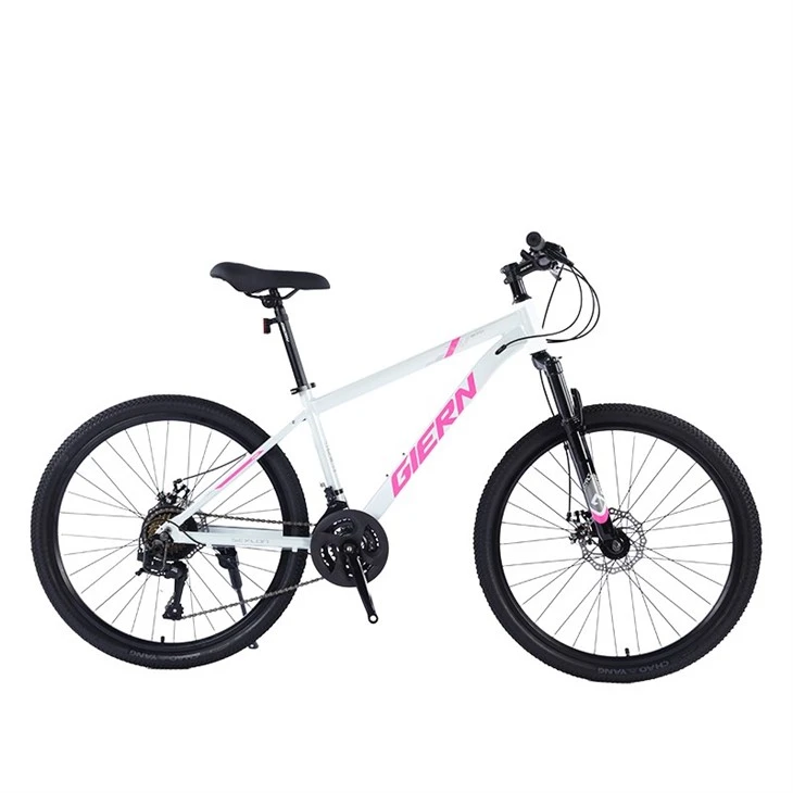 Entry Level Hardtail Mountain Bike