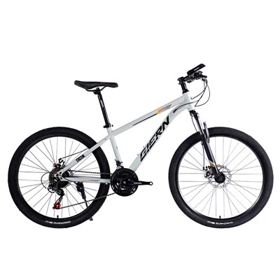 Marc d'acer Hardtail Mtb