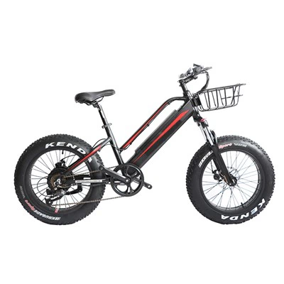 Bicicleta de muntanya elèctrica juvenil
