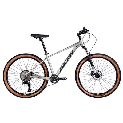 Bicicletes de muntanya rígides de gamma alta