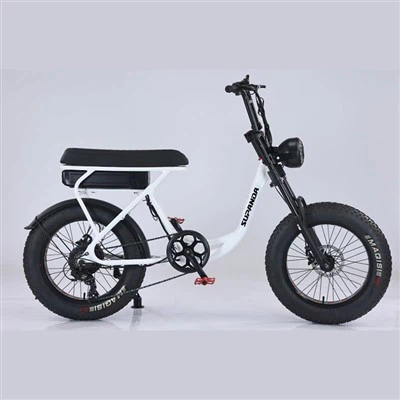 Bicicleta elèctrica de doble corona