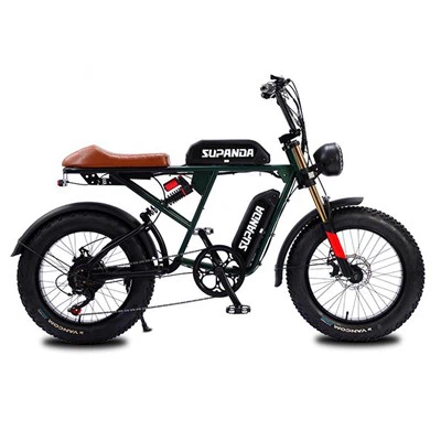 Bicicleta elèctrica amb doble bateria