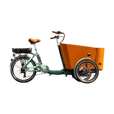 Bicicleta elèctrica de lliurament de càrrega